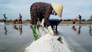 Bà Rịa - Vũng Tàu: Phát triển ngành muối gắn với du lịch nông thôn