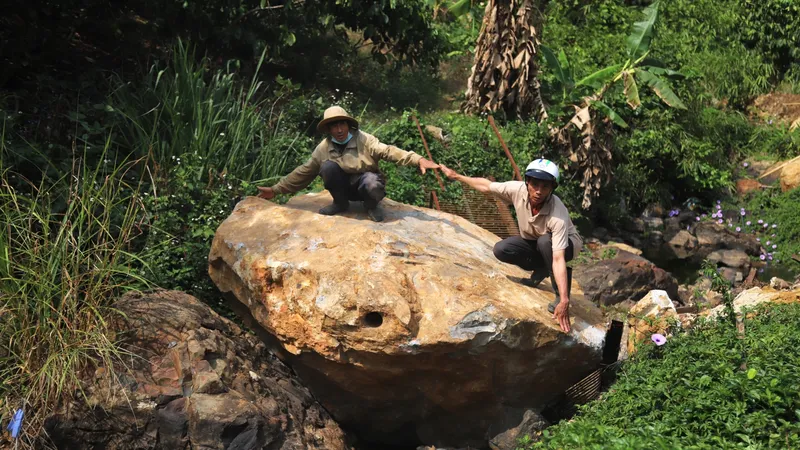 Ảnh: https://baolamdong.vn/toa-soan-ban-doc/202404/bao-lam-kien-nghi-tam-dinh-chi-hoat-dong-cua-mo-da-thai-son-ed31979/