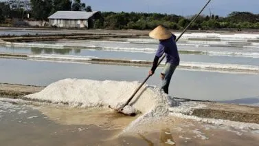 Không gian phát triển nghề muối