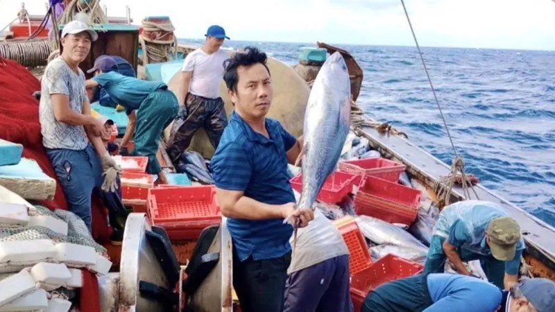 Ngư dân miền Trung vươn mình ra biển lớn - Bài 2: “Mở biển” vươn khơi xa