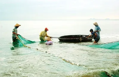 Ảnh: https://www.sggp.org.vn/mien-trung-tan-diet-nguon-loi-thuy-san-ven-bo-post239317.html