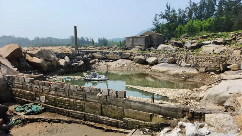 Nhếch nhác bãi biển