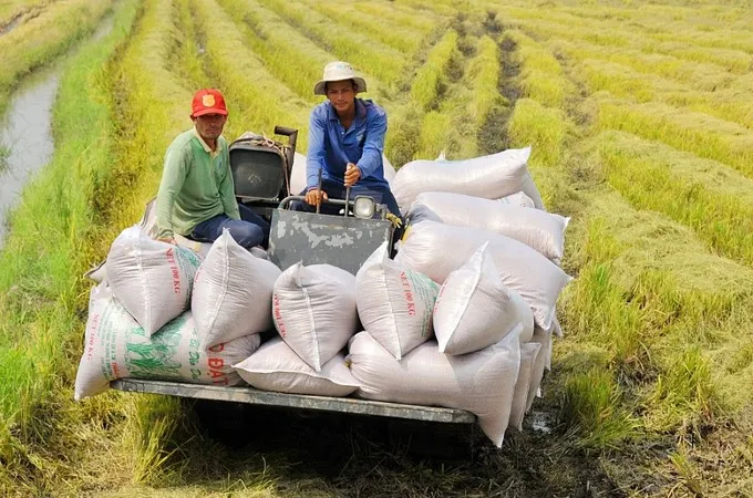 Nhiều loại lương thực có xu hướng tăng giá