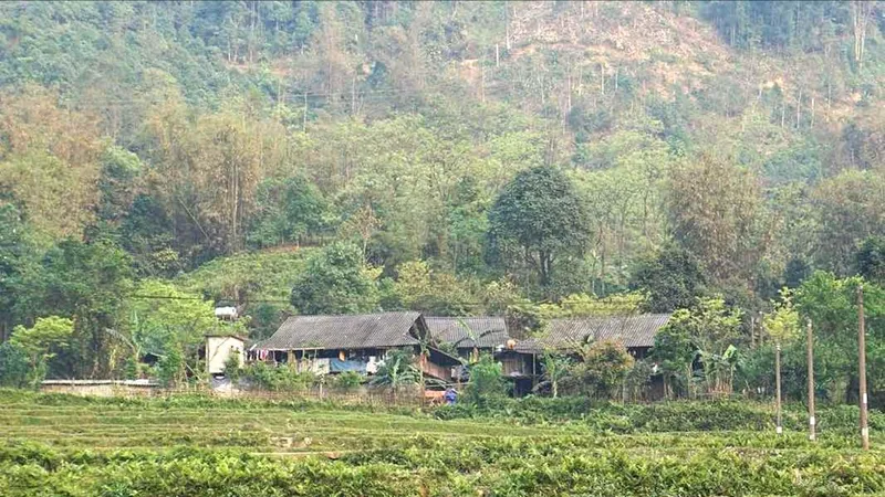 Những nhớ nhung ngày cũ
