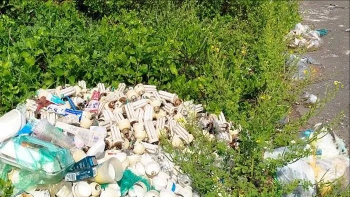 Rác thải bóng đèn chong thanh long