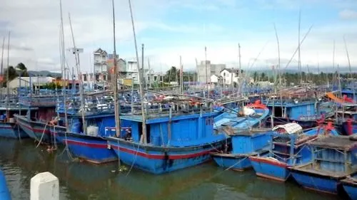 Ảnh: https://hoainhon.binhdinh.gov.vn/