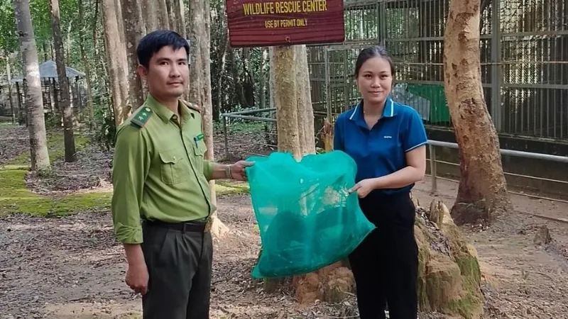 Giao nộp cá thể trăn đất để bảo tồn