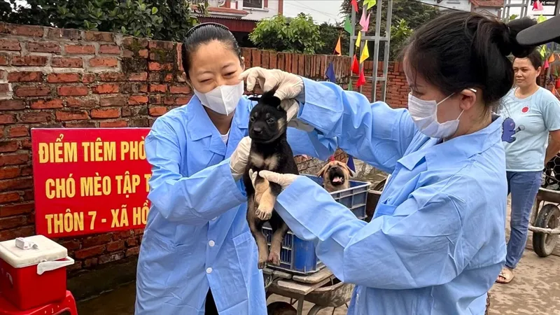 Không tiêm phòng dại mà đến thầy lang chữa trị khi bị chó cắn, bé trai 7 tuổi tử vong