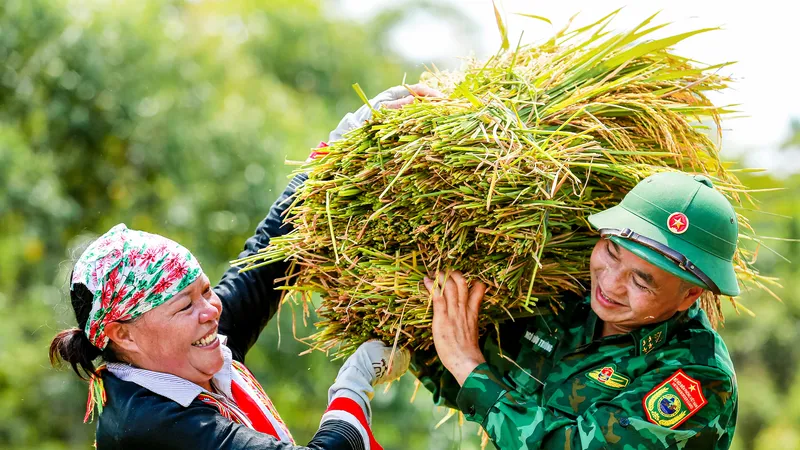 Nhật ký cuộc thi ngày 1-11-2024