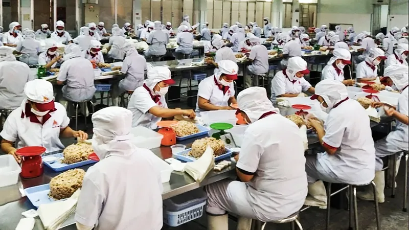 Hướng tới xuất khẩu đạt mốc 1.000 tỷ USD - Bài 1: Năm 2024 - Thành quả ấn tượng