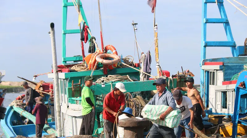 Ngư dân Nam Trung bộ hối hả vươn khơi vụ tết