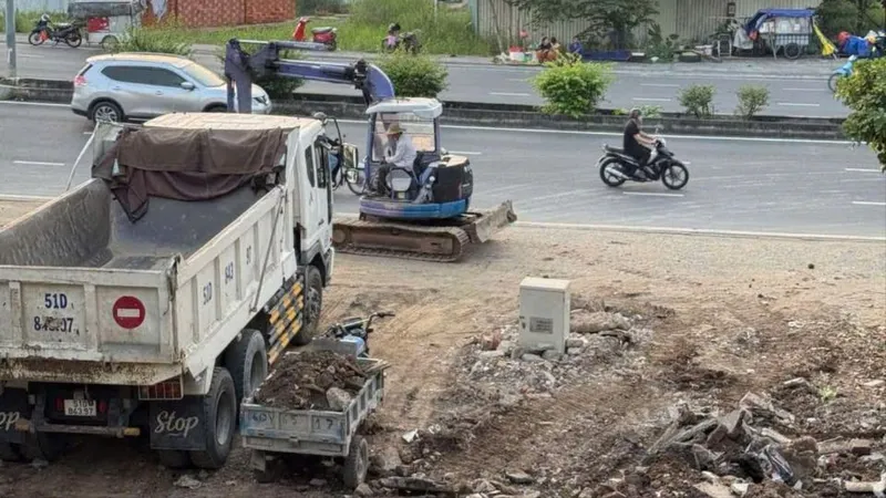 Bãi xà bần trong khu dân cư