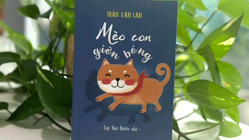 Mèo con giỡn bóng - Món quà dành cho trẻ nhỏ