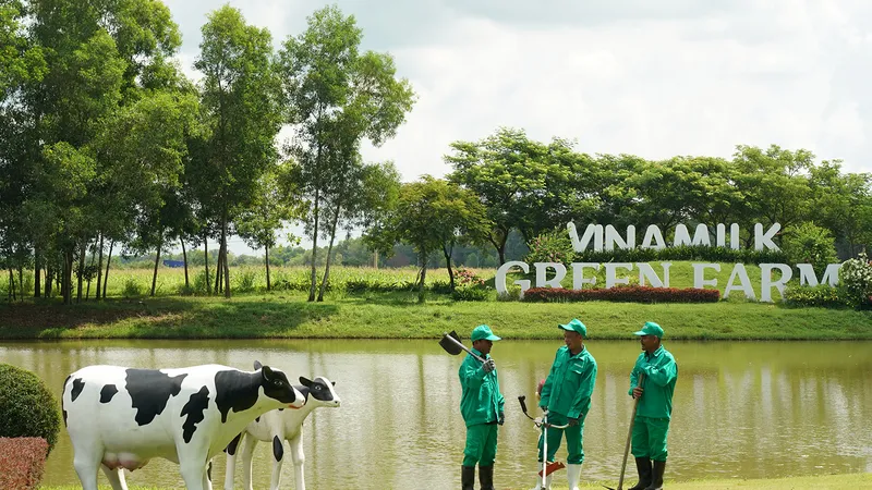 Đăng ký bảo hộ tài sản trí tuệ: Lợi thế cho doanh nghiệp chinh phục thị trường
