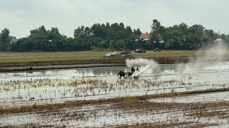 Tiền Giang, Long An: Kiểm soát sâu bệnh đầu vụ Hè Thu 2025