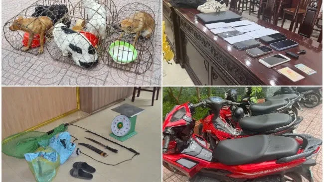 Triệt phá đường dây chuyên trộm chó