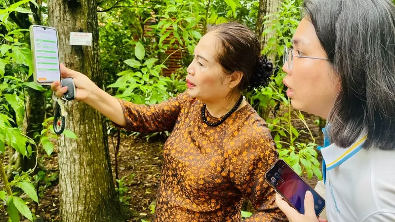 Quét mã QR thân cây đo chỉ số lưu trữ carbon tại TPHCM