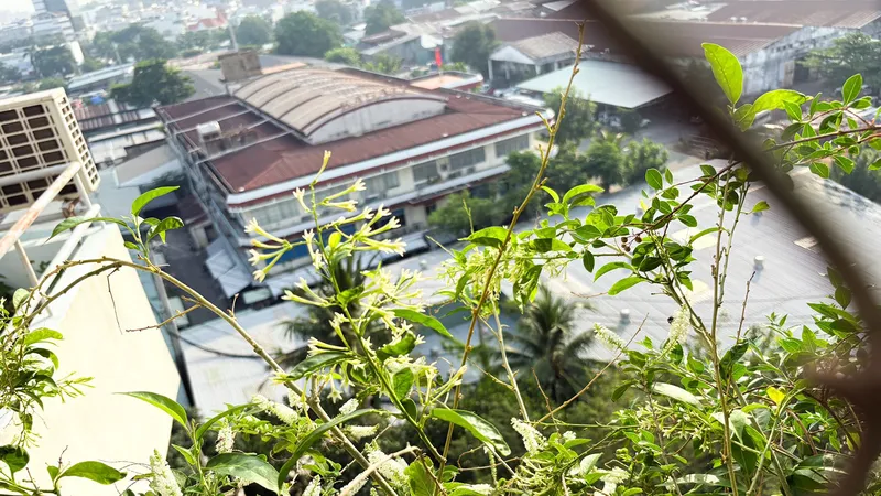 Hàng xóm thành thị