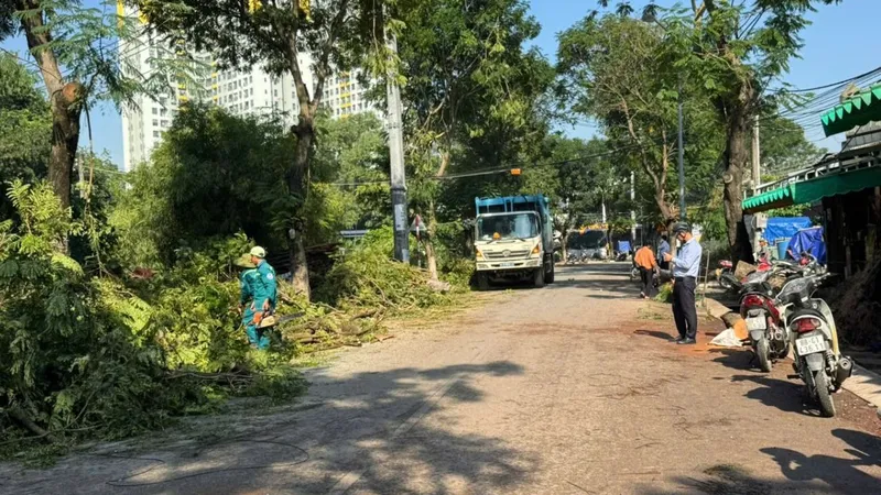 Vụ cây xanh bật gốc làm 2 người bị thương ở phường Đông Hòa, TPHCM: Dọn dẹp hiện trường, cảnh báo người dân khi lưu thông 
