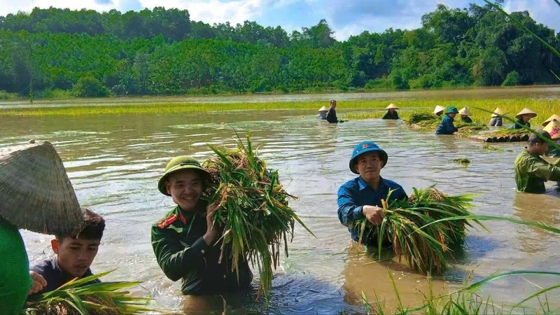 Các lực lượng khẩn trương ứng phó cơn bão số 11