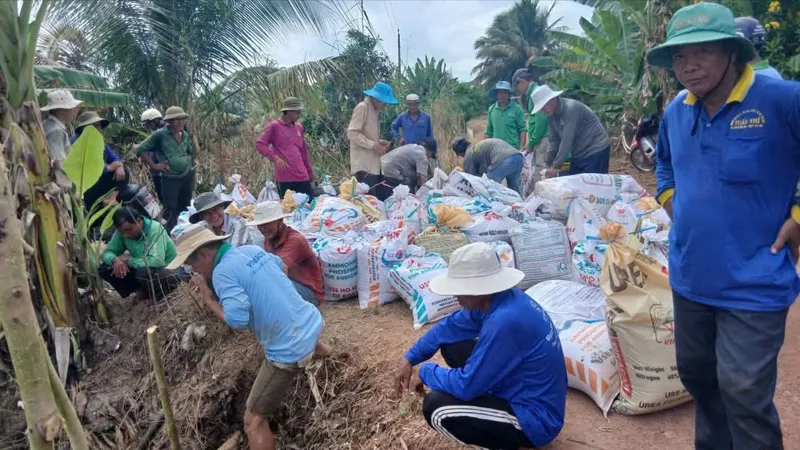 Vùng Đồng Tháp Mười đạt đỉnh lũ, cuộc sống người dân bị xáo trộn