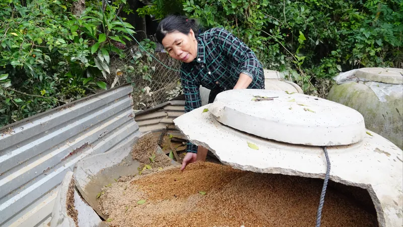 Người dân gượng dậy sau khi lũ rút 