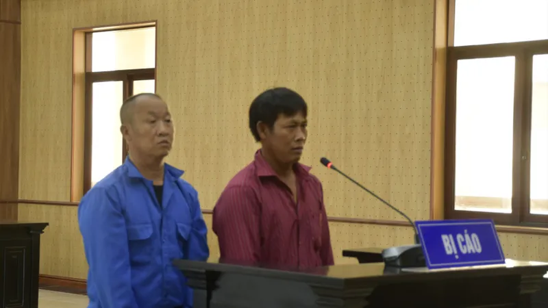 Tổ chức cho thuyền viên vượt biên trái phép, hai thuyền trưởng lãnh án 
