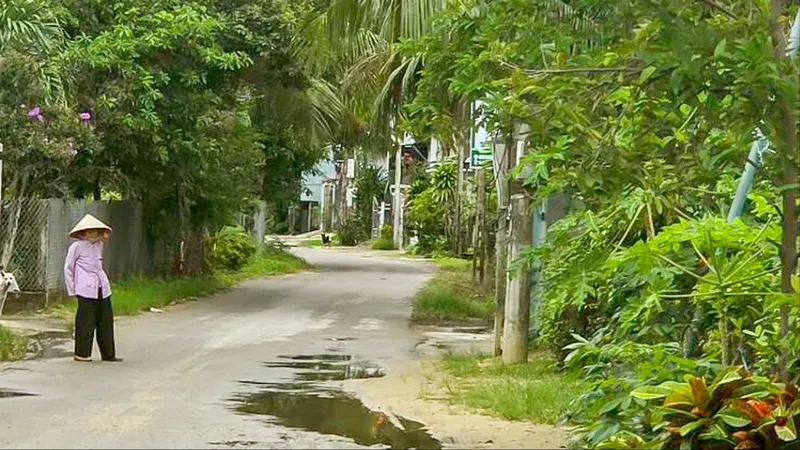 Về nhà sau bão