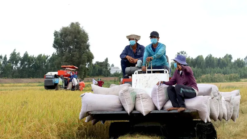 Từ ranh giới hành chính đến không gian kinh tế thống nhất