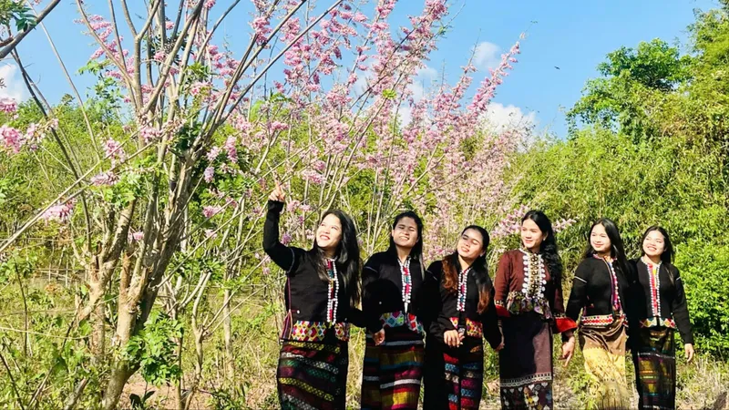 "Mê hoặc" với loài hoa điệp anh đào giữa đại ngàn Trường Sơn