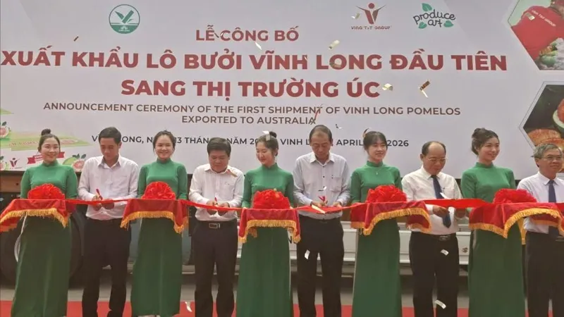 Đồng Tháp, Vĩnh Long xuất khẩu lô bưởi đầu tiên sang thị trường Úc