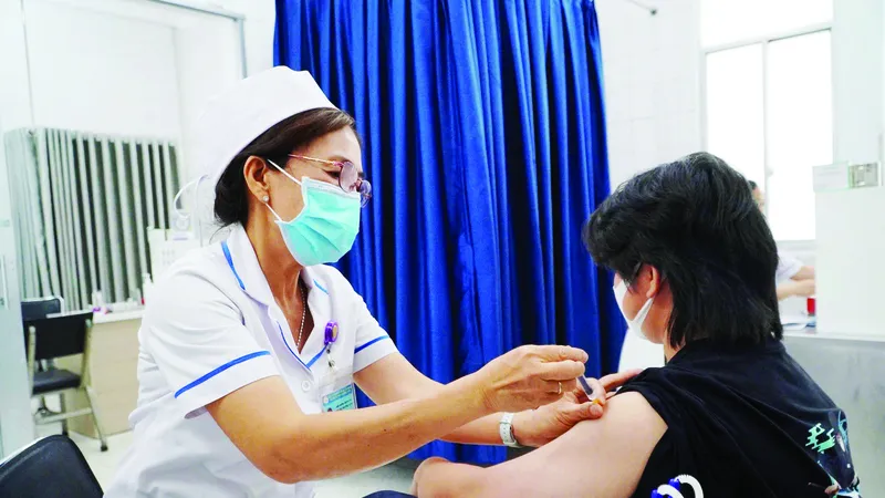 Vào mùa cao điểm bệnh dại