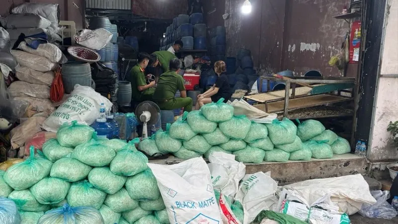 TPHCM: Khởi tố 4 bị can dùng chất cấm để sản xuất giá đỗ