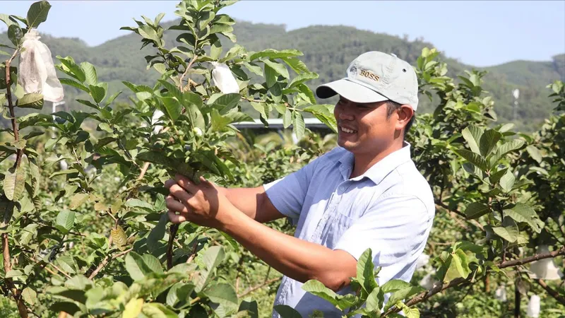 Đồng hành để nâng cao thu nhập cho người nông dân