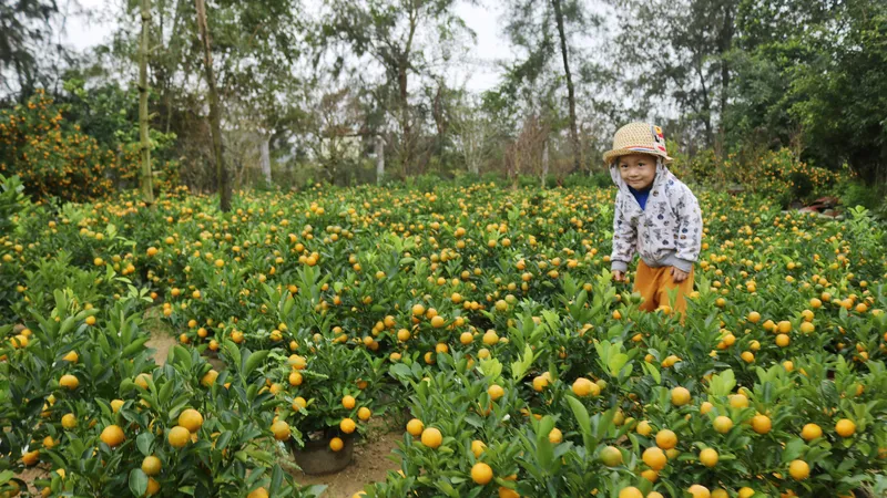 Làng nghề Quảng Nam rộn ràng đón tết