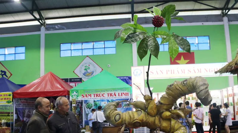 Phiên chợ sâm tiền tỷ