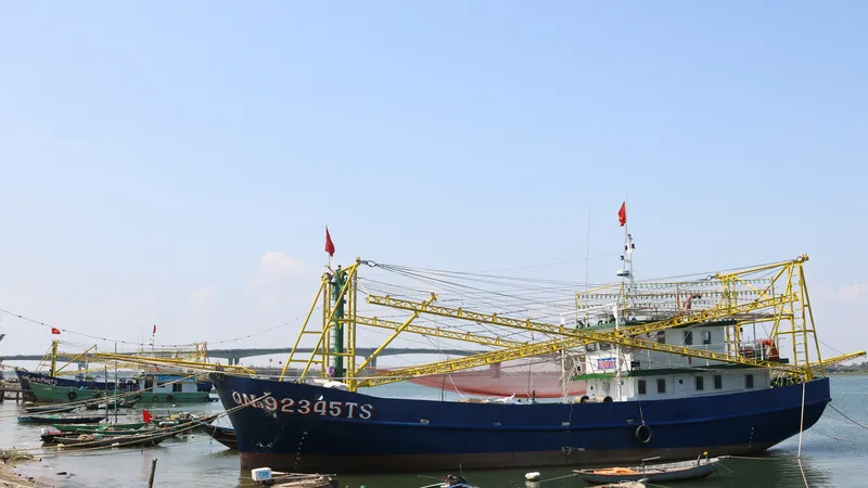 Ngư dân Quảng Nam “quay lưng” Nghị định 17