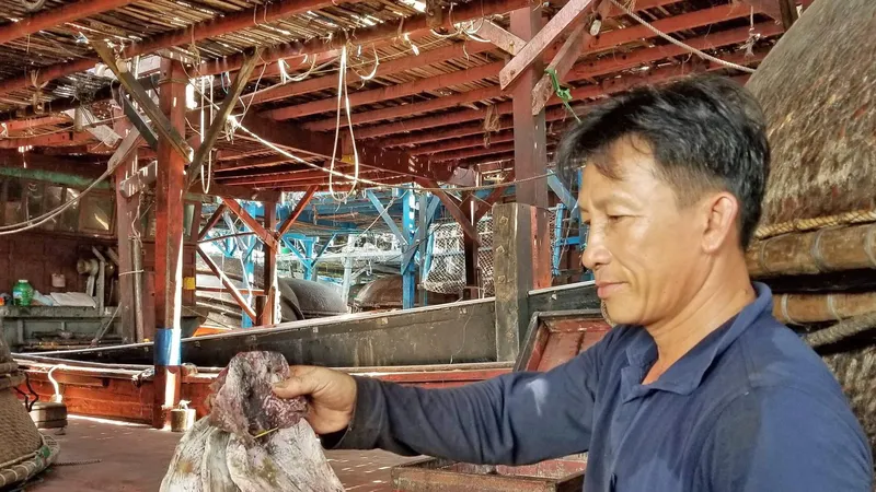 Hơn 1.000 tấn mực tồn của Quảng Nam đã được bán