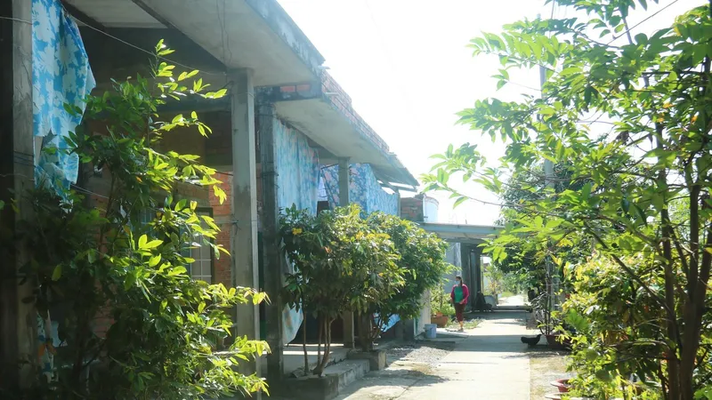 Sức sống ở làng Khmer vùng Đồng Tháp Mười