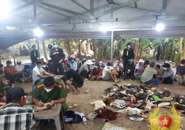 Triệt phá nhiều điểm tổ chức đá gà ăn thua bằng tiền