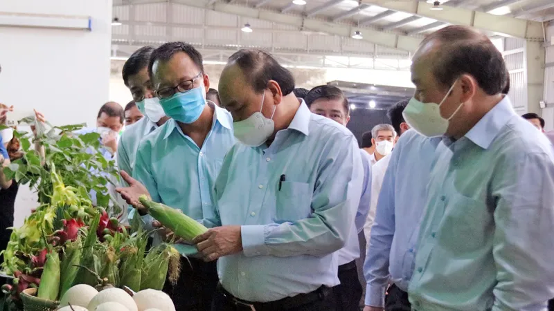 Chủ tịch nước Nguyễn Xuân Phúc: Tiền Giang có đầy đủ điều kiện để phát triển HTX kiểu mới, kiểu mẫu