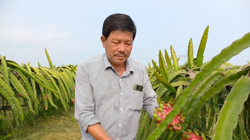 Cơ giới hóa sản xuất cây ăn trái ĐBSCL: Tăng cường hỗ trợ nông dân tiếp cận với máy móc