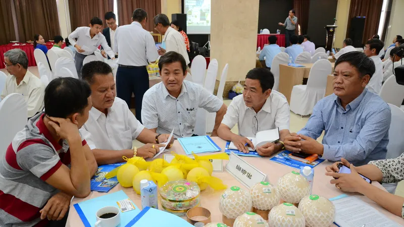Kết nối cung cầu cho các HTX trên địa bàn tỉnh Tiền Giang