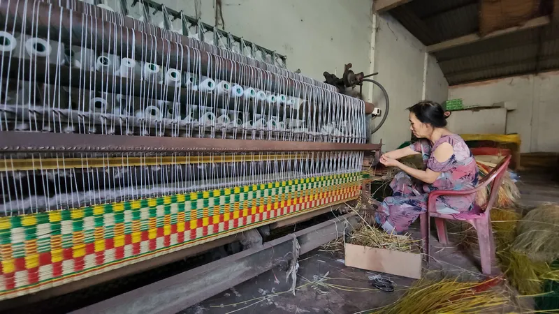 Về Long Định xem đan chiếu bông 