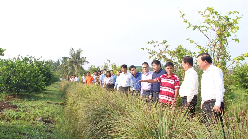 Khuyến khích du lịch nông nghiệp tỉnh Long An xây dựng chương trình “Học kỳ làm nông”