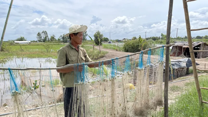 Người dân Đồng Tháp Mười ngóng lũ