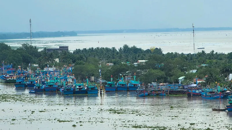 Tiền Giang: 100% tàu cá đang hoạt động đã lắp thiết bị giám sát hành trình