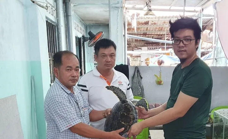 Tiền Giang: Bàn giao cá thể đồi mồi dứa quý hiếm cho cơ quan bảo tồn động vật hoang dã