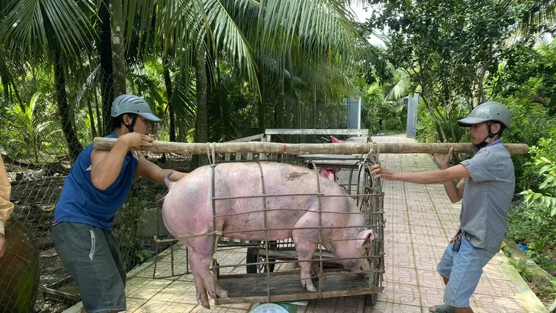 Cần ban hành quy chuẩn kỹ thuật quốc gia đối với cơ sở giết mổ nhỏ lẻ