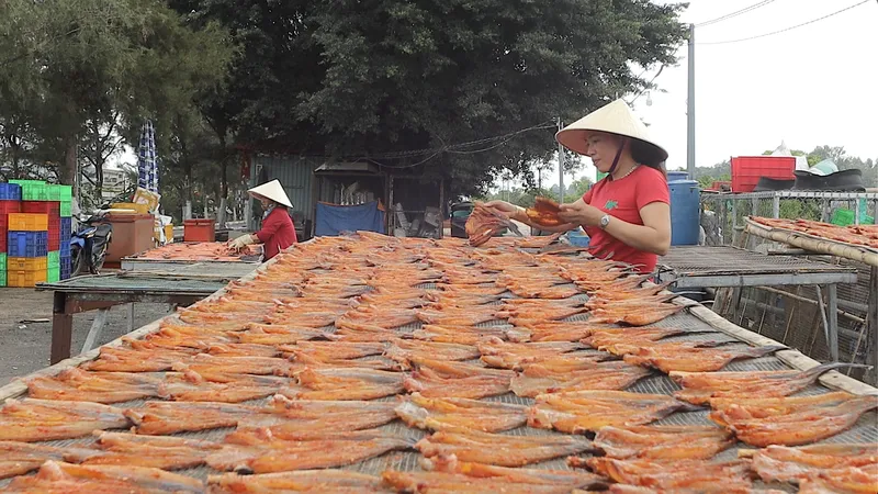 Làng khô cá đồng ở vùng biên